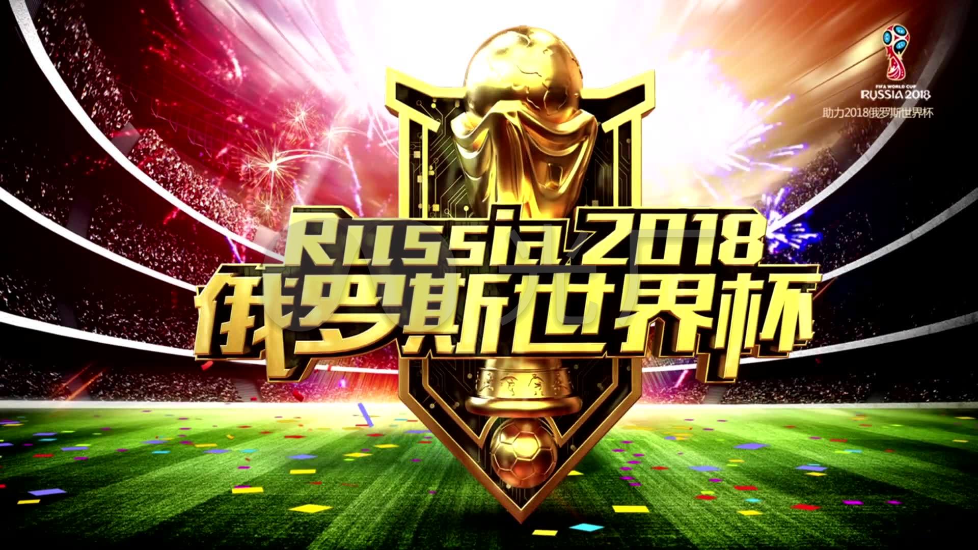 为其他大